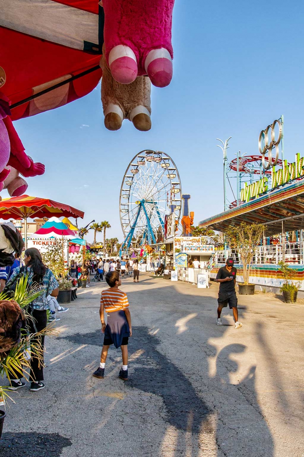 Ventura County Fair The Fillmore Gazette