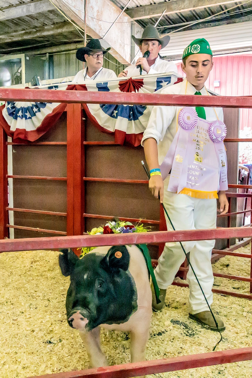 Adam Zavala, age 15 of Fillmore FFA, with his swine Cisco who was named Reserve Grand Champion/4-H Reserve Grand Champion Market Swine.
