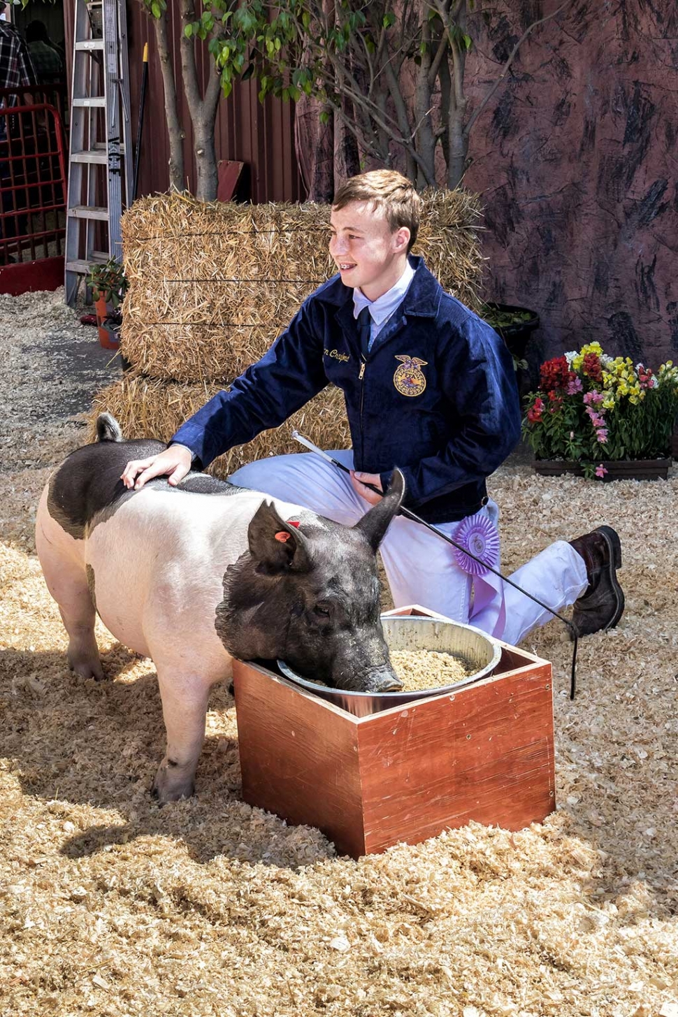 Dylan Crawford, 14, Fillmore FFA, FFA Reserve Grand Champion market swine. High bidder paid $9.00 per pound for Dylan's prize pig. 