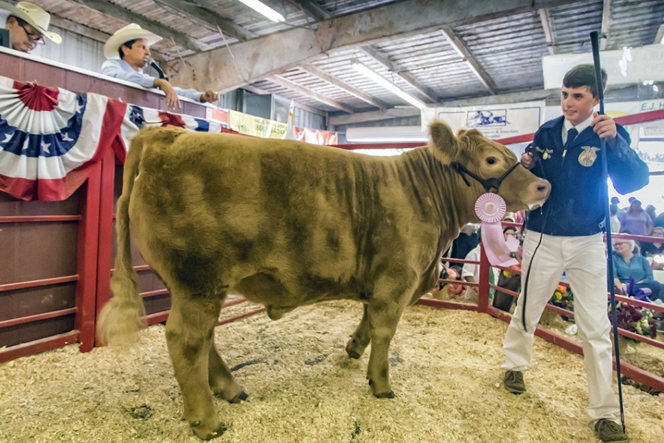 Chase Bowen, with his FFA Reserve Grand Championship Steer, Bomber. The steer weighed in at 1,267 pounds.