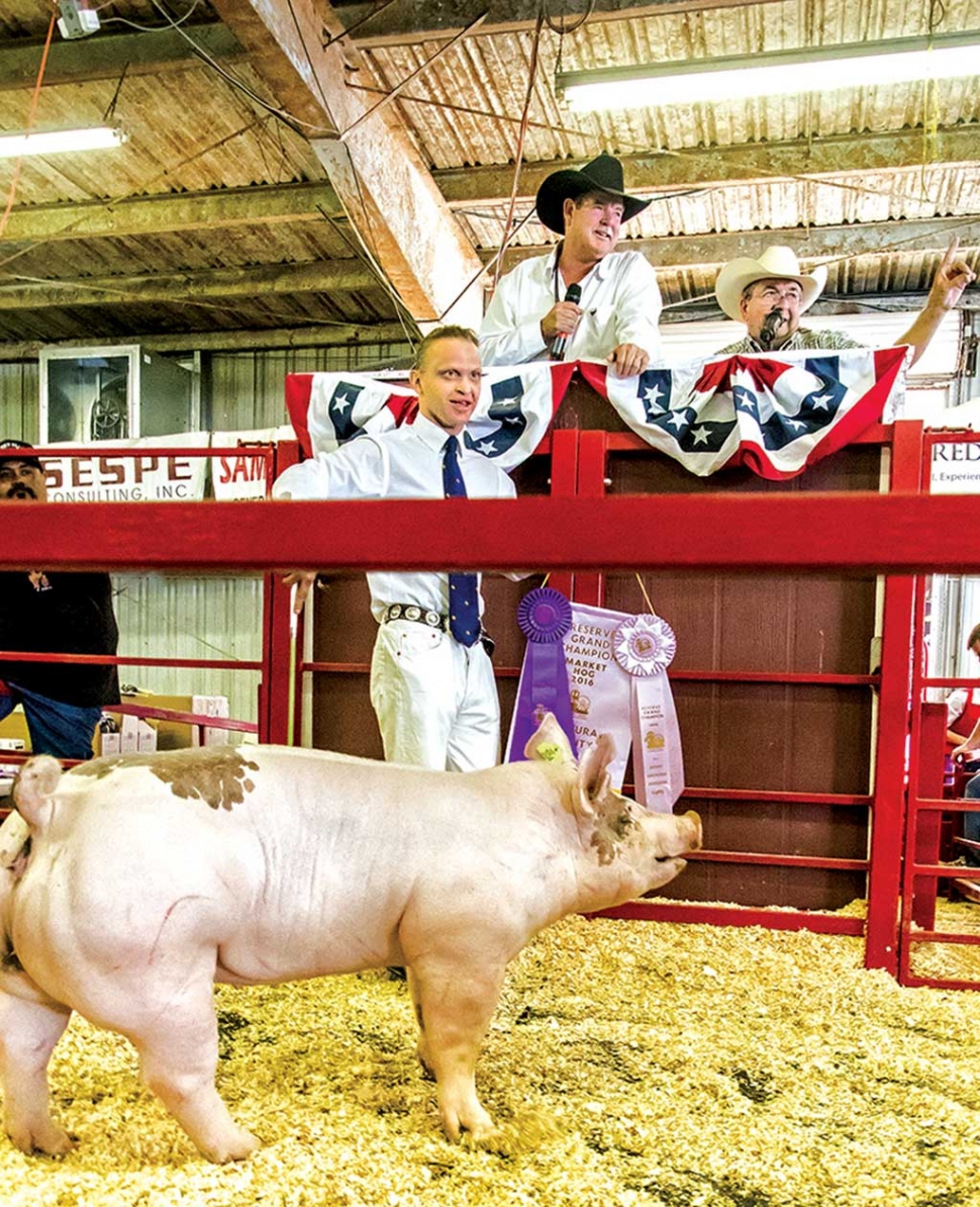 Daniel Torres and his pig “Happy” won Reserve Grand Champion/FFA Champion.