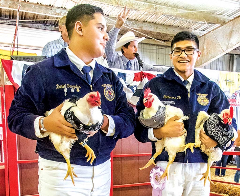 (left) Daniel Gonzales with Jesus Zamora and his Reserve Grand Champion Chickens.