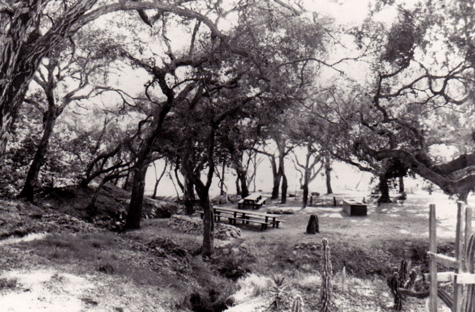 Picnic area at Kenney Grove Park.
