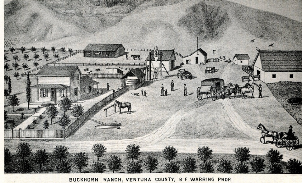 The Buckhorn Ranch had been part of the Rancho Sespe land grant claimed by Thomas W. More. According to Hugh, “T. W. More. Photos Courtesy Fillmore Historical Museum.