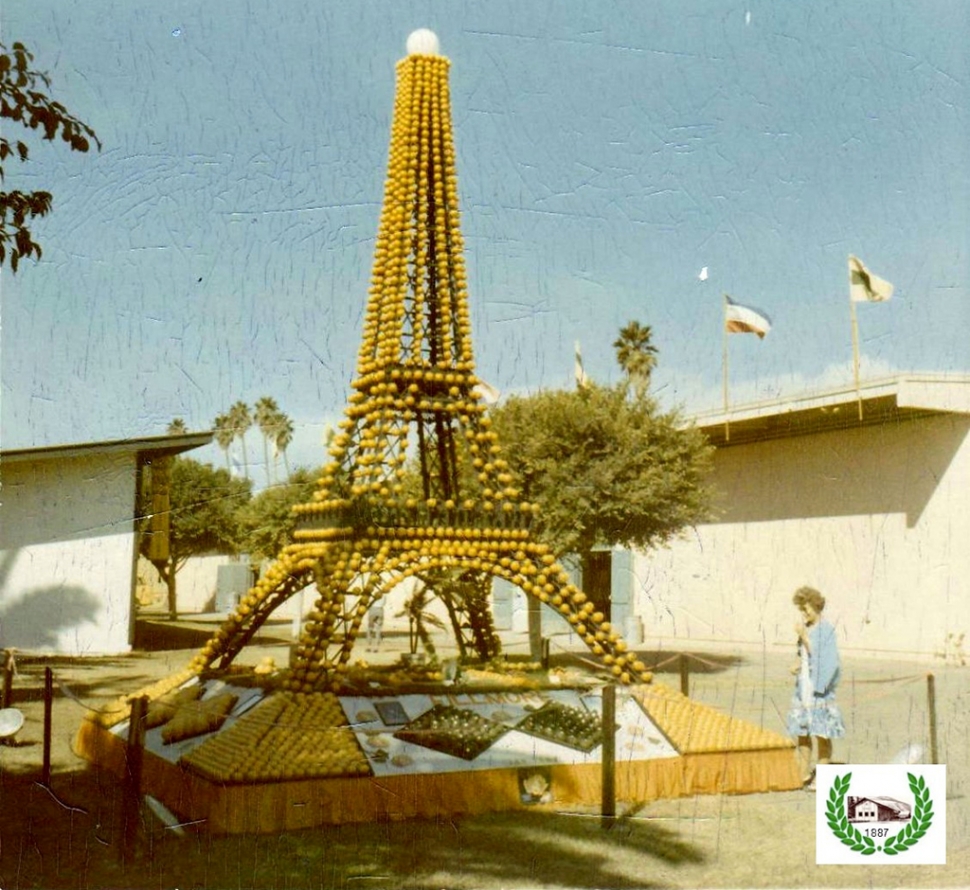 A citrus Eiffel Tower made with oranges in 1971 won the President’s Award at the Ventura County Fair as Fillmore Chamber of Commerce’s entry that year. Photos Courtesy Fillmore Historical Museum. 