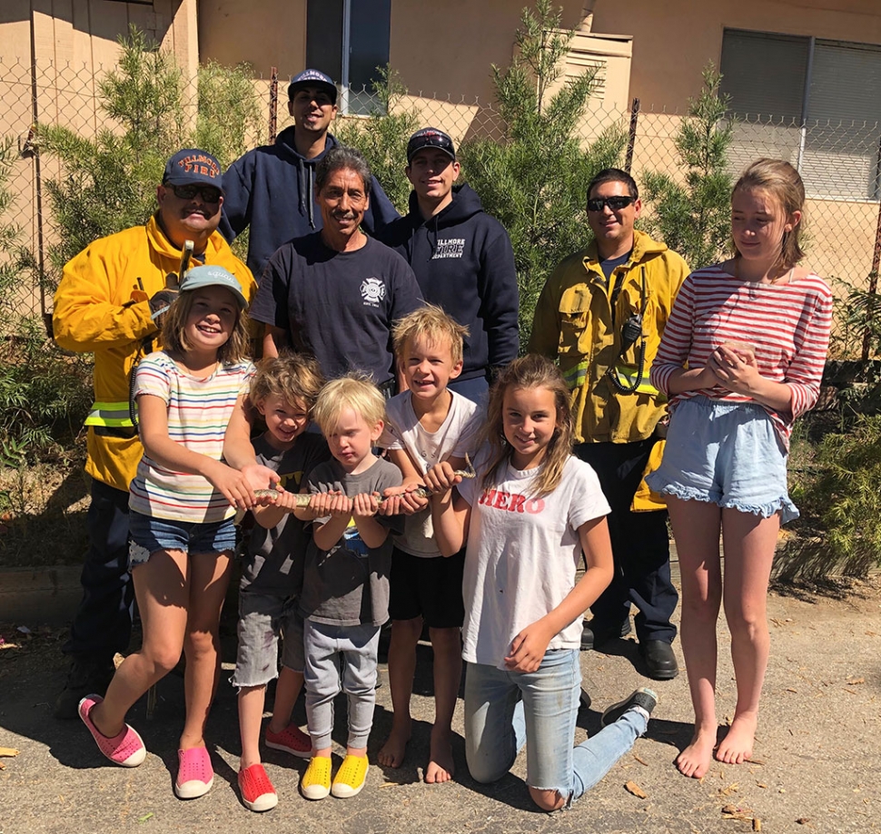 The Fike family of Fillmore had an unpleasant surprise last week when a 7-year old rattlesnake was discovered in a pipe near their home in the foothills north of Fillmore. Fillmore fire responded and lured him out, sending him to snake heaven, then promised to return the skin to the family. 