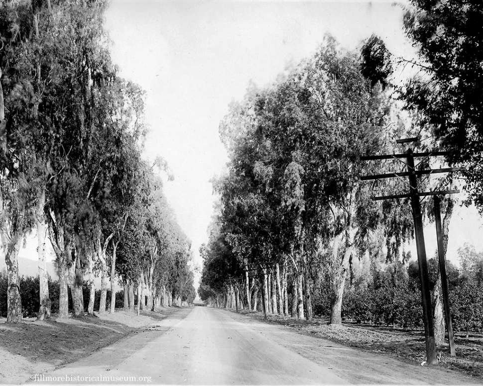 Rancho Sespe circa 1930.