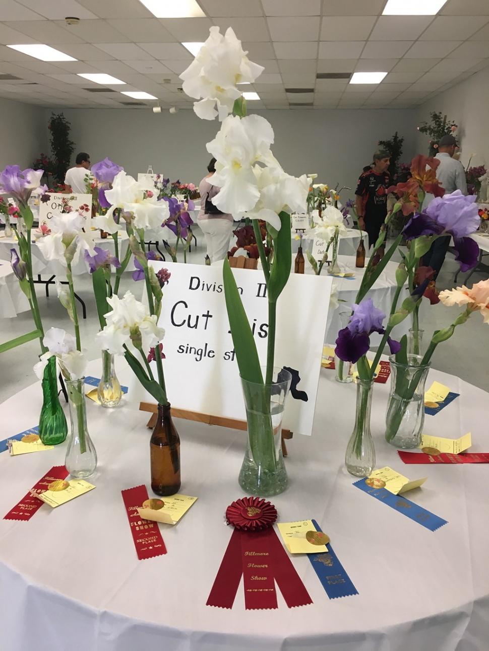 Pictured above are some entries from past Fillmore flower shows. Photo courtesy Jan Lee.