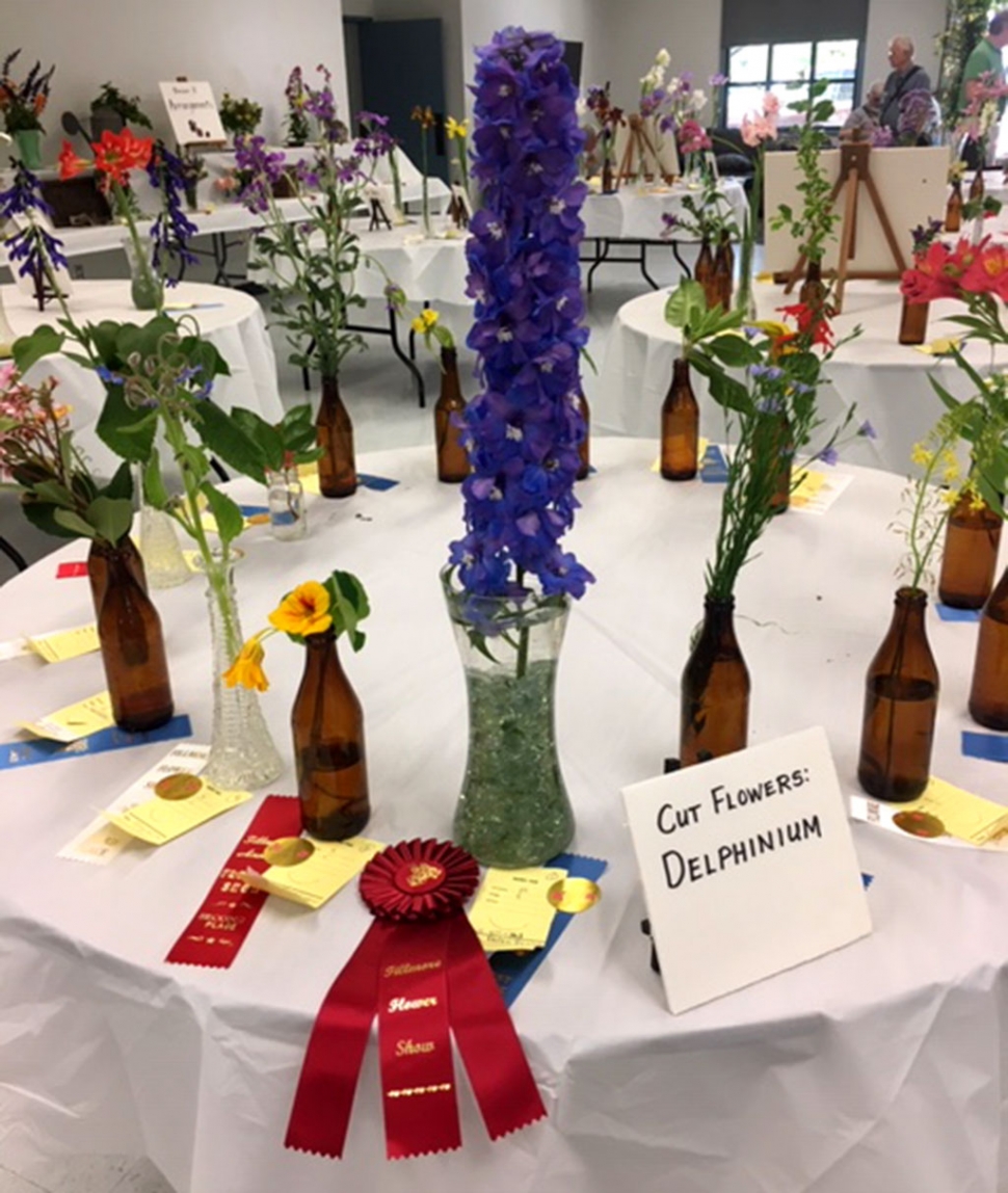 Pictured are entries from last year’s flower show. Courtesy Jan Lee.