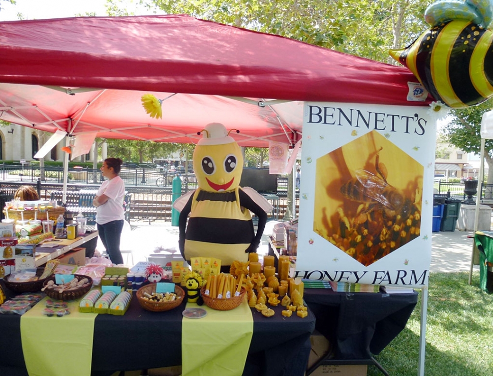 It was all the buzz...The First Annual Honey Harvest Festival took place over the weekend in Fillmore’s Central Park. The weather was beautiful and the crowd was happy. Offered were many craft booths as well as honey and beewax products, face painting, a petting zoo, and a dunking booth. The wild west was represented by the Fillmore & Western Railway cowboys, shooting it out at high noon. Food booths were available at the east end of the park along with music from a live band.