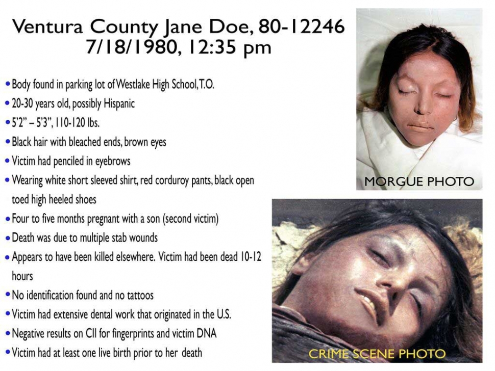 Arrest Made in 1980 Jane Doe Murders, Police seek public's help to