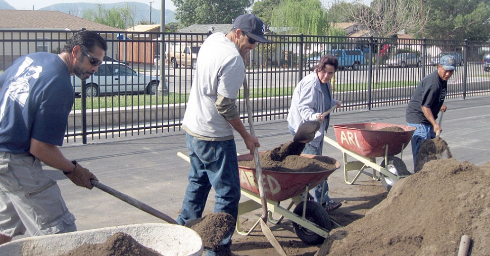 Mountain Vista parent volunteers, Mr. Castro, Mr. Vargas, Mrs. Aparicio, and Mr. Magana shoveling 19 cubic yards of soil to fill the planter boxes. Classrooms will have the opportunity to plant vegetables and help maintain the garden.