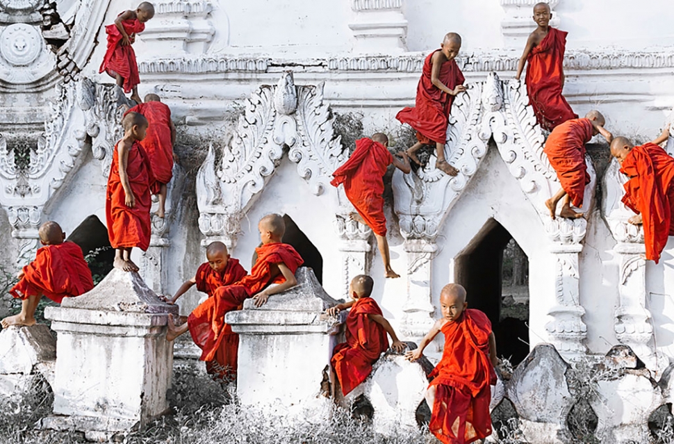 "Climbing Cardinals" by Photographer Felice Willat. 