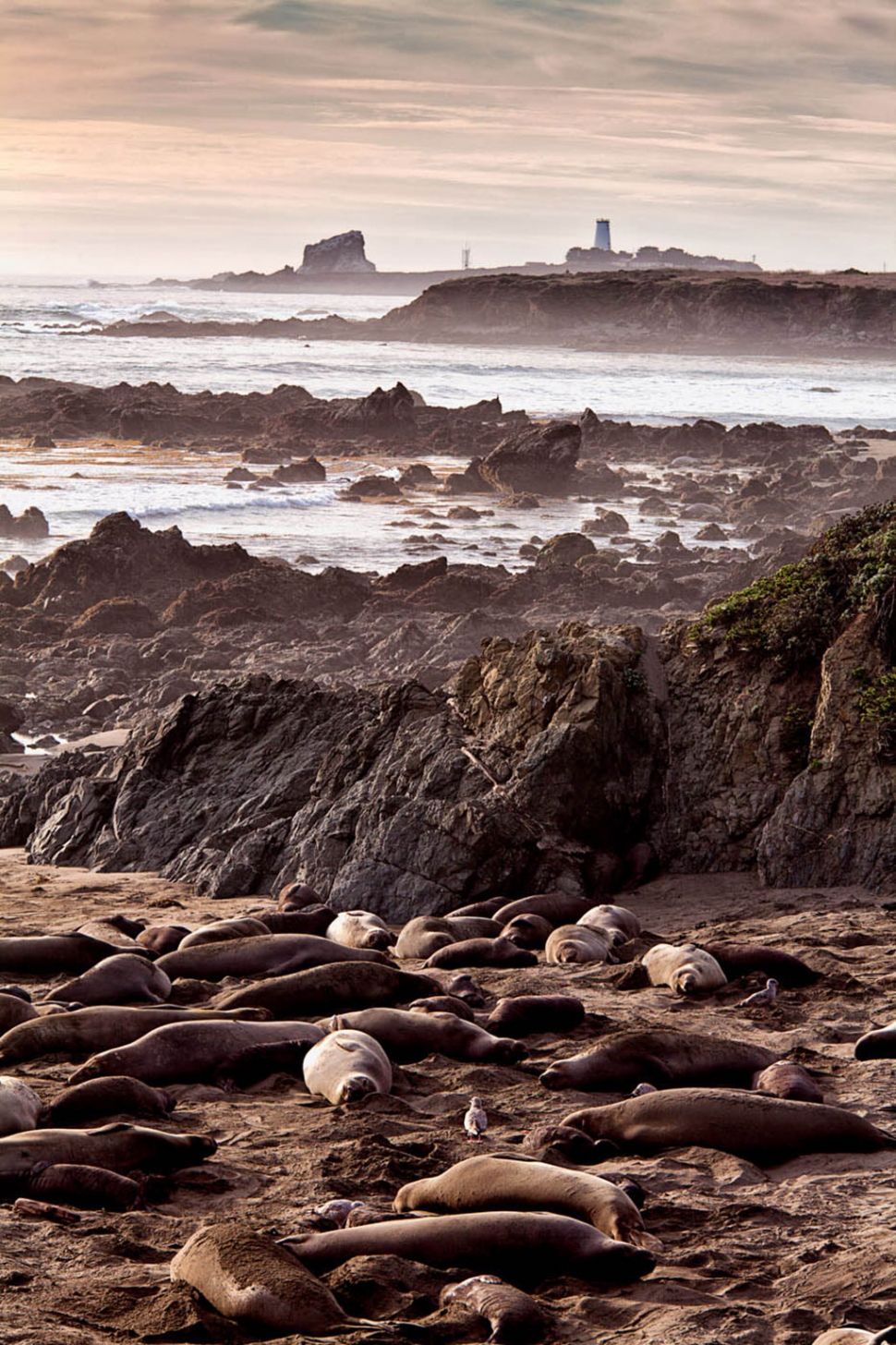 San Simeon by Photographer Susannah Sofaer Kramer 