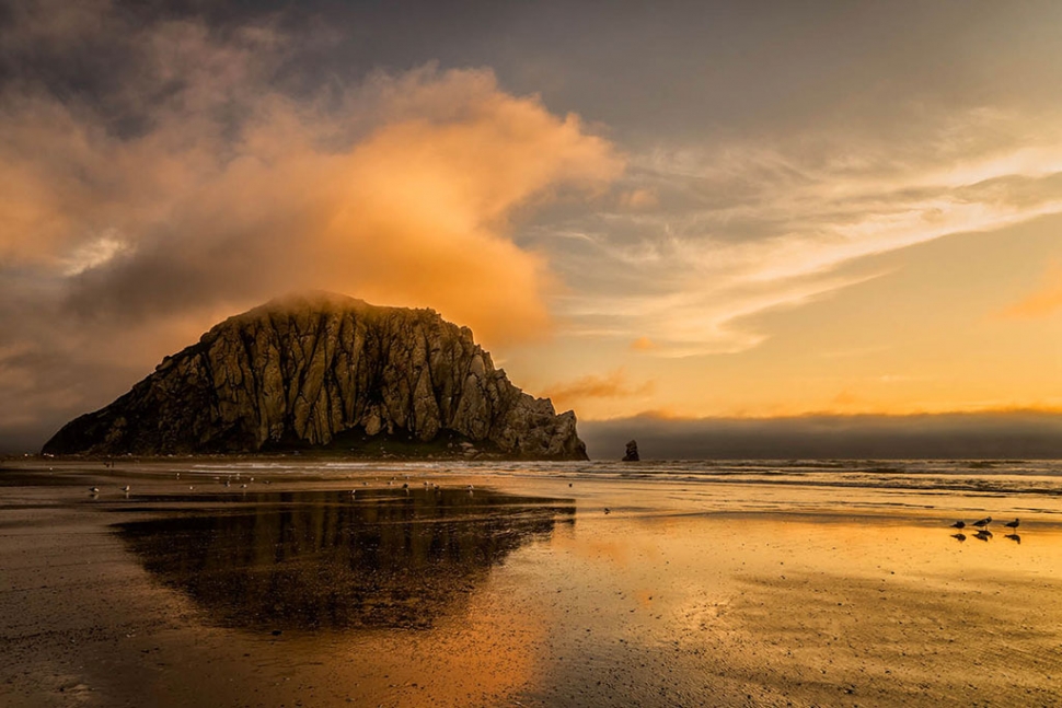 Morro Bay by Photographer Susannah Sofaer Kramer 