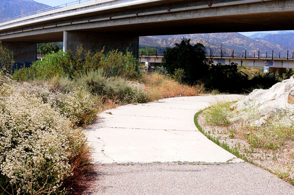 On Sunday, June 21st at 10:30am a Fillmore woman was attacked while jogging along the Sespe Creek Bike Path near Shiells Park, Fillmore. Police are still searching for the suspect.