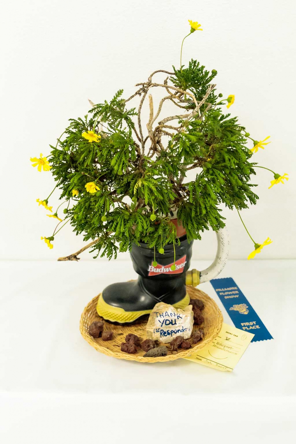 Photo of the Week "First place potted fireman’s boot thanking 1st responders at the Flower Show" By Bob Crum. Photo data: Canon 7DMKII, Manual mode, ISO 8000, Tamron 16-300mm lens @22mm, f/3.5, shutter speed 1/160 second.