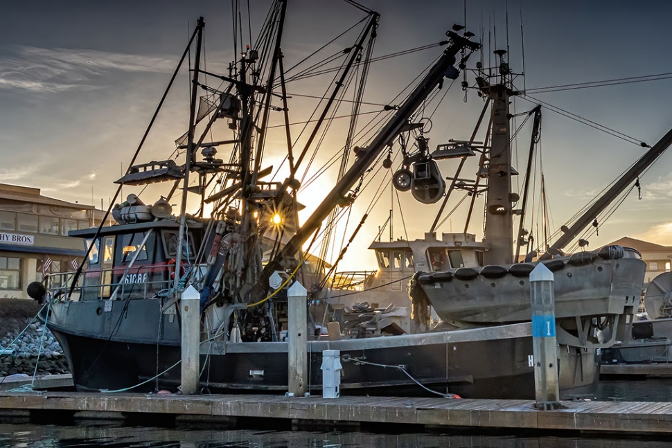 Photo of the Week: "Ventura Harbor commercial fishing boat & sunstar in building tower" by Bob Crum. Photo data: Canon 7DMKII camera, manual mode, Tamron 16-300mm lens @24mm. Exposure; ISO 800, aperture f/20, 1/320 second shutter speed. 