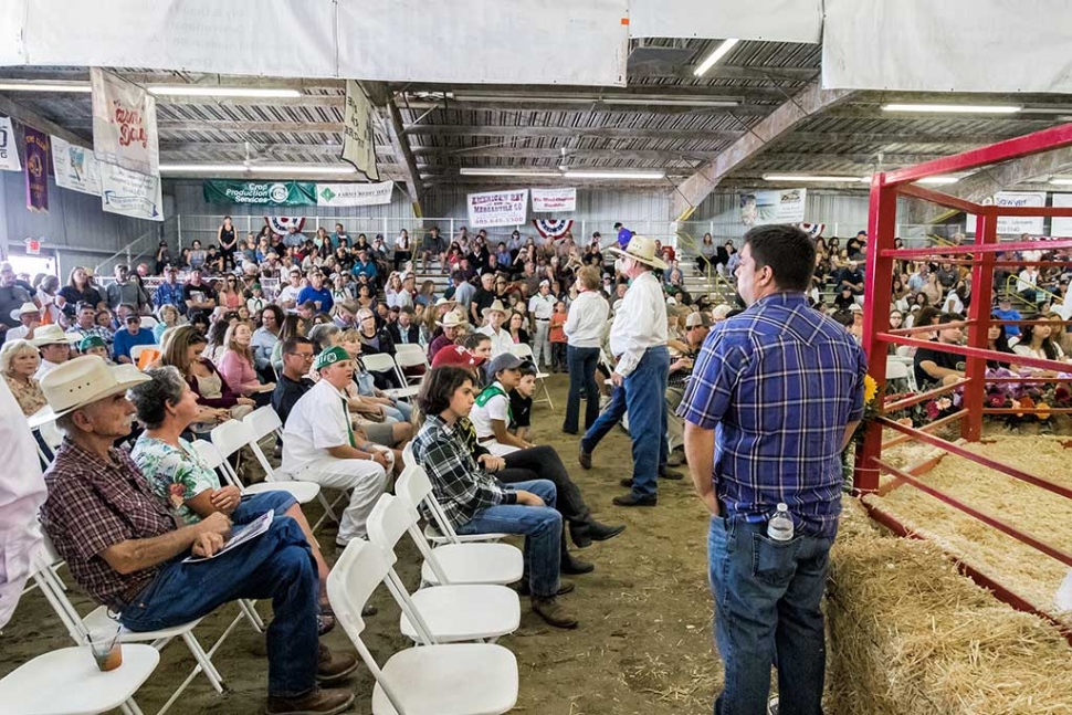 Photo of the Week: "Bidders and spectators at the Junior Livestock Auction at the Ventura County Fair" by Bob Crum. Photo data: ISO 6400, 16-300mm lens @16mm, f/7.1, 1/125 second.