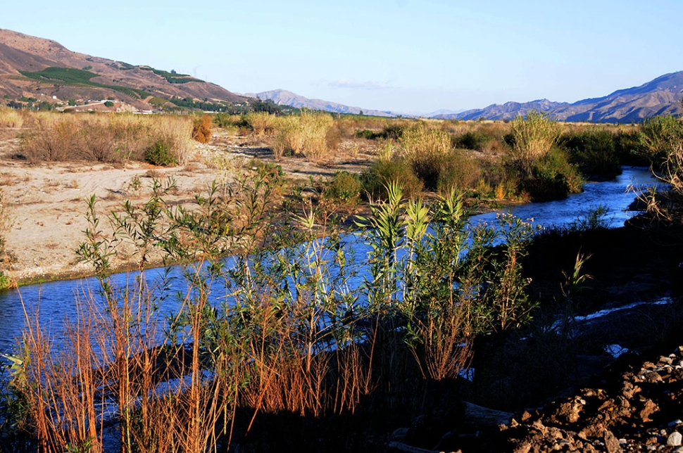 The Santa Clara River is flowing more than usual after Fillmore got a much need rain this past Monday, December 28th.