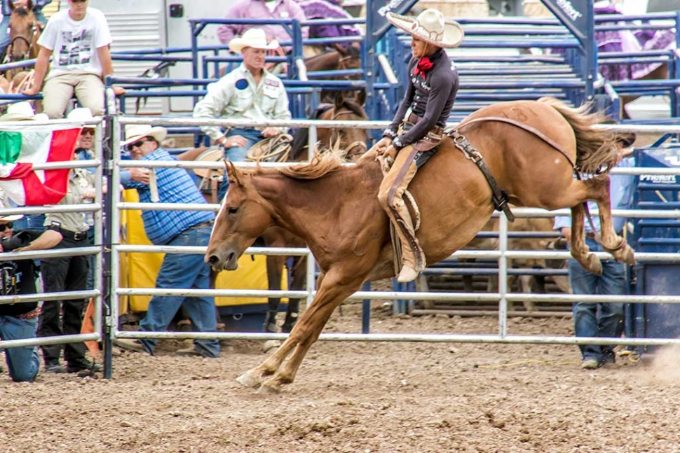 Ventura County Fair Rodeo The Fillmore Gazette