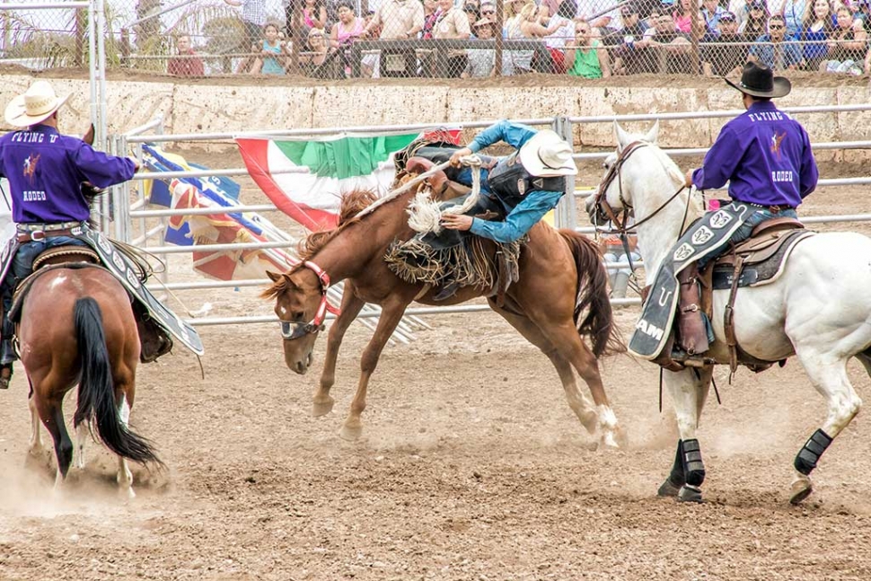 Ventura County Fair Rodeo The Fillmore Gazette
