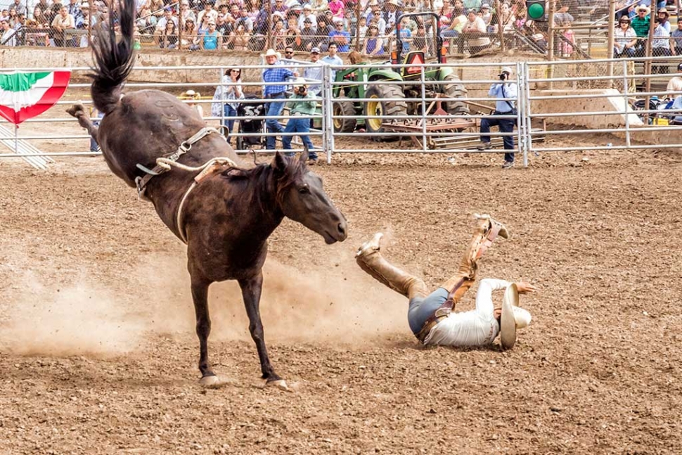 Ventura County Fair Rodeo The Fillmore Gazette