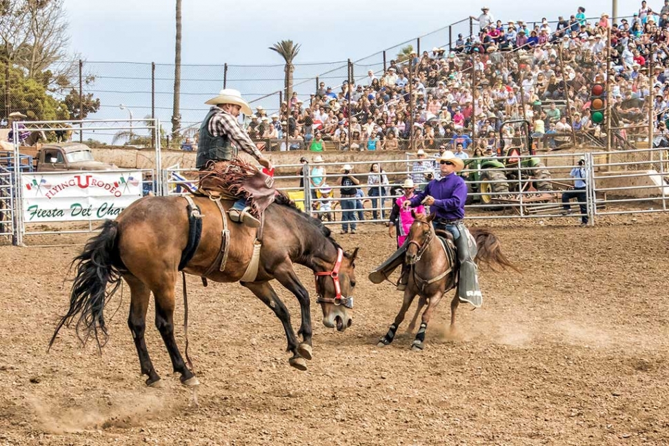 Ventura County Fair Rodeo The Fillmore Gazette