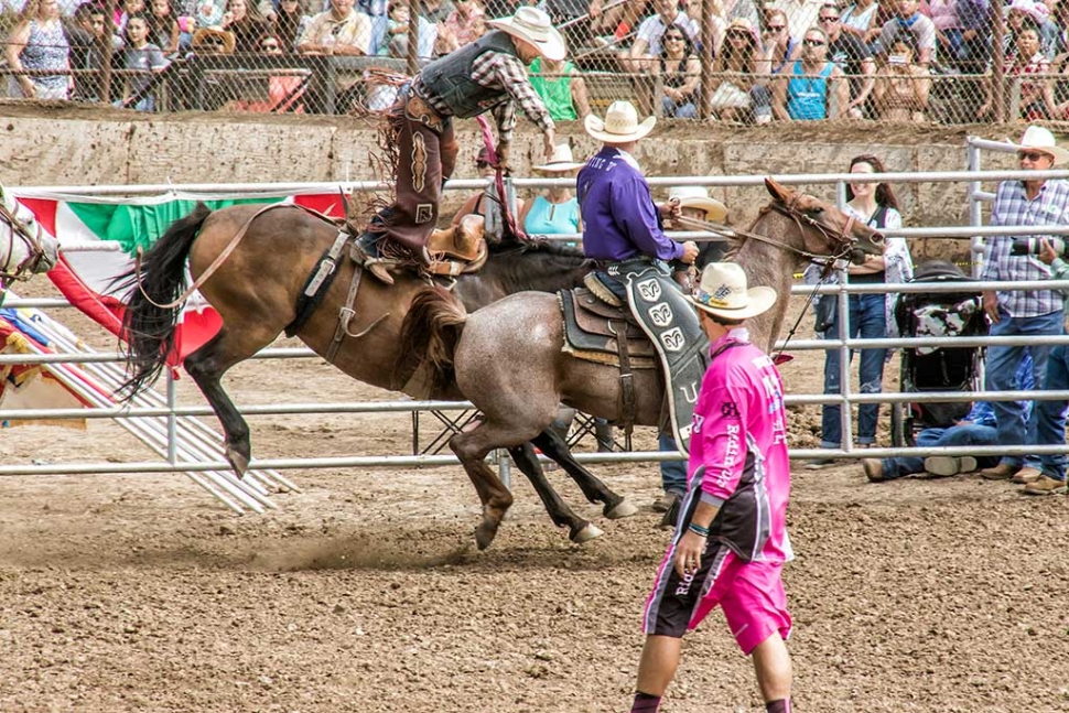 Ventura County Fair Rodeo The Fillmore Gazette