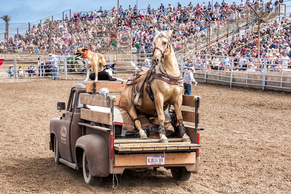 Ventura County Fair Rodeo The Fillmore Gazette