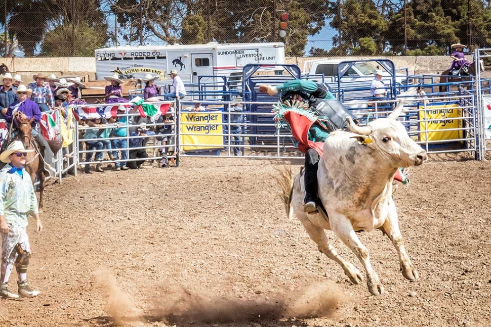 Ventura County Fair Rodeo The Fillmore Gazette