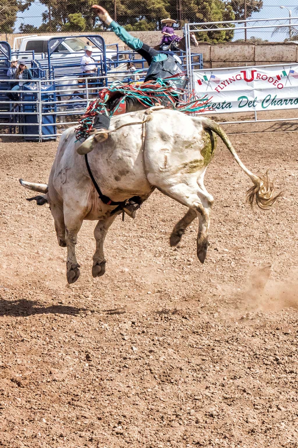 Ventura County Fair Rodeo The Fillmore Gazette