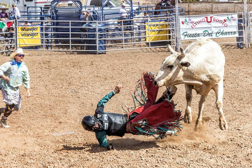Ventura County Fair Rodeo The Fillmore Gazette
