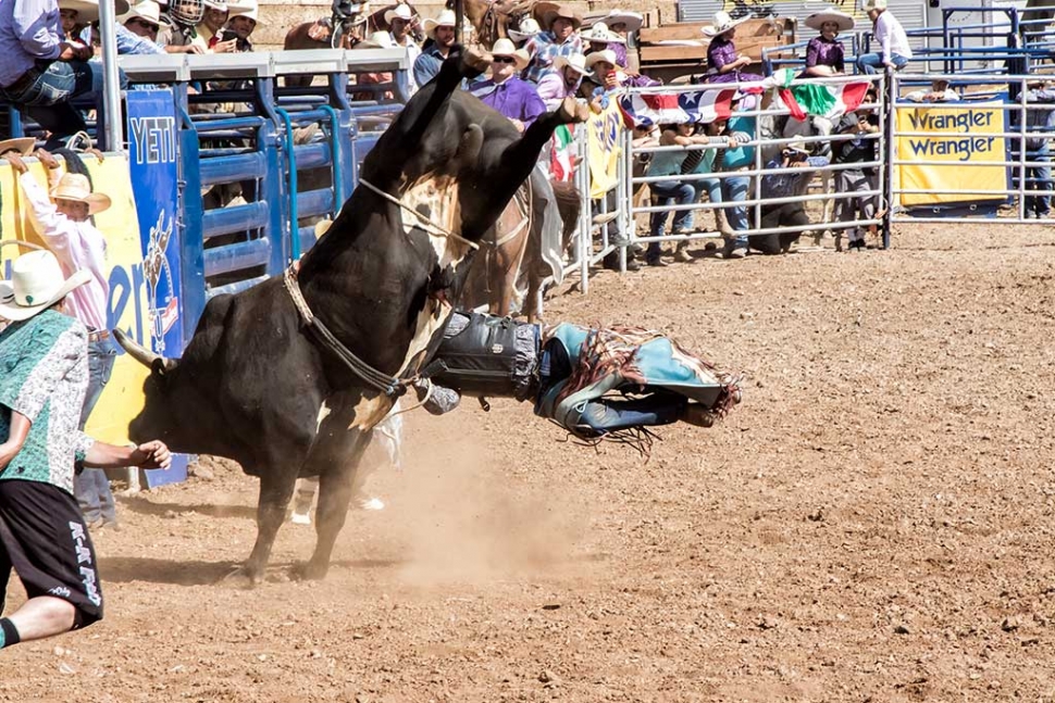 Ventura County Fair Rodeo The Fillmore Gazette