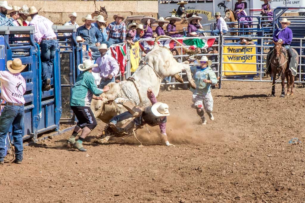 Ventura County Fair Rodeo The Fillmore Gazette