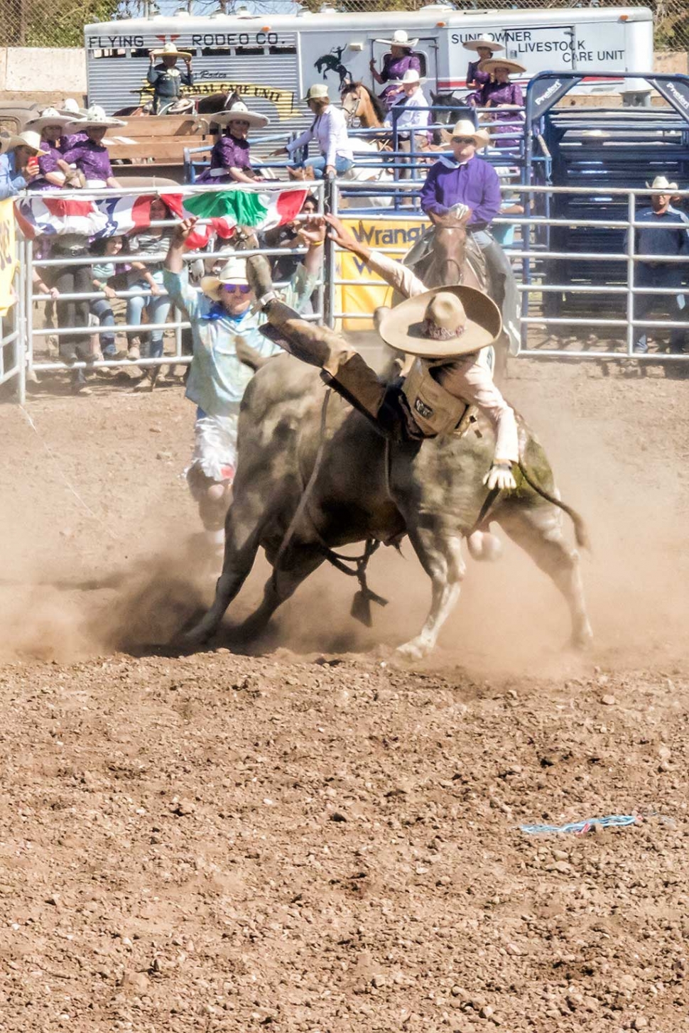 Ventura County Fair Rodeo The Fillmore Gazette