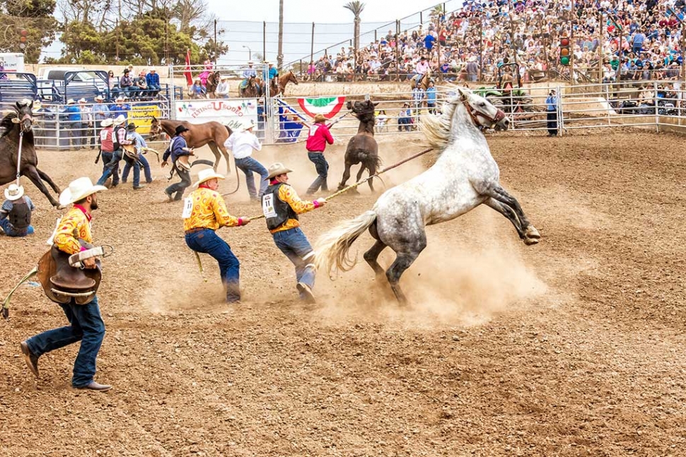 Ventura County Fair Rodeo The Fillmore Gazette