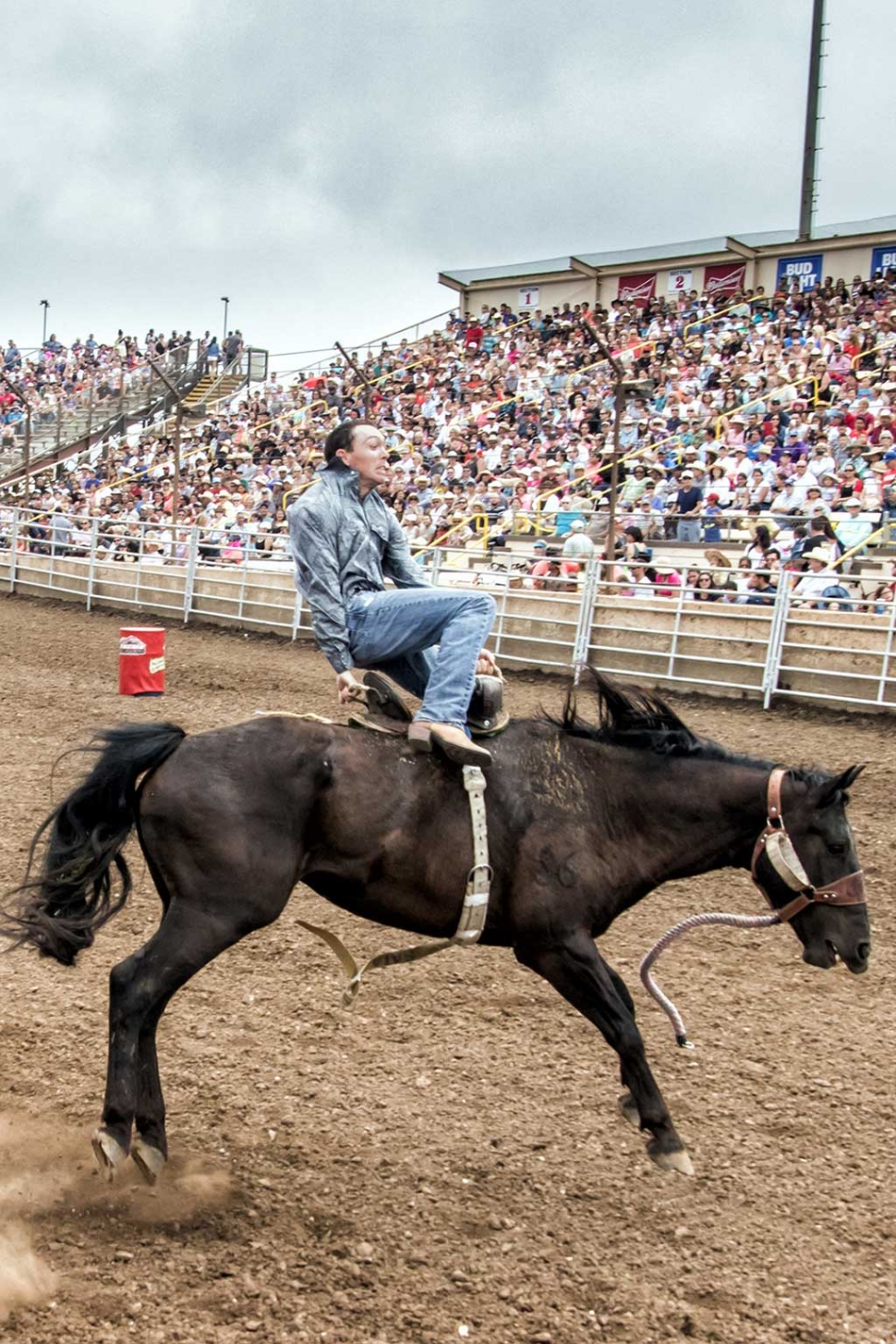 Ventura County Fair Rodeo The Fillmore Gazette