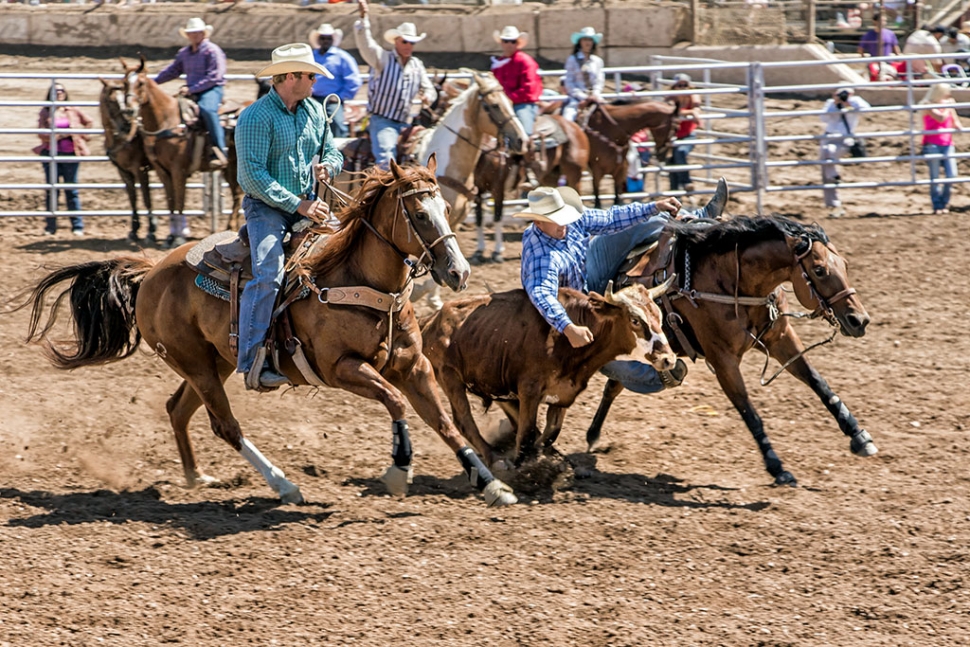 Rodeo Comes To VC Fairgrounds | The Fillmore Gazette