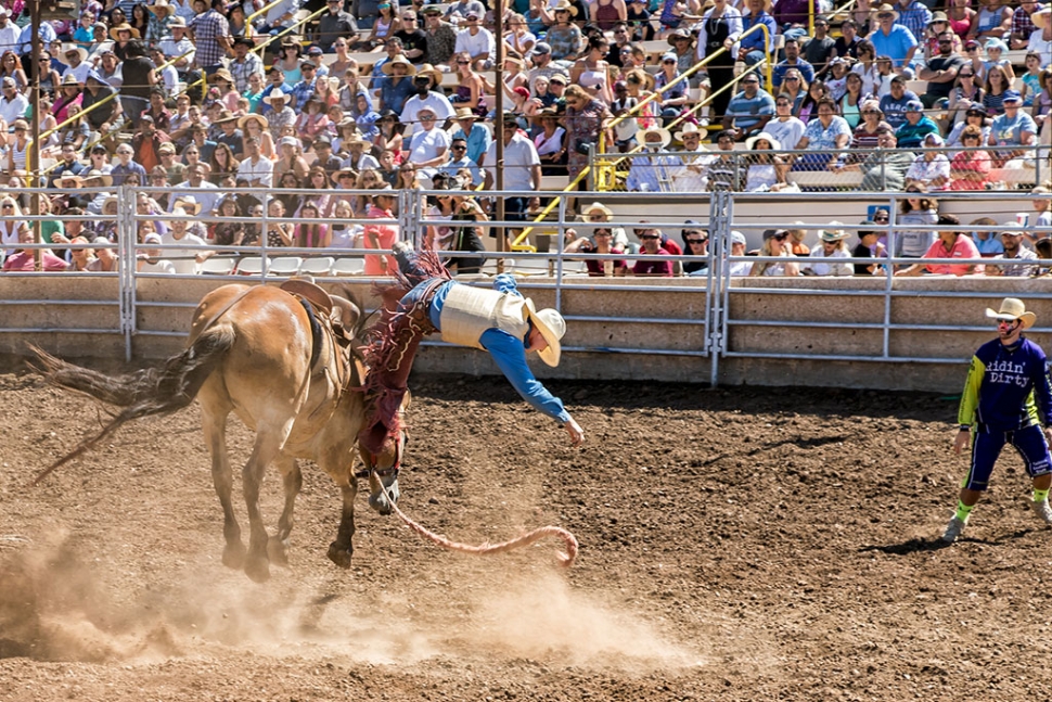 Rodeo Comes To VC Fairgrounds | The Fillmore Gazette