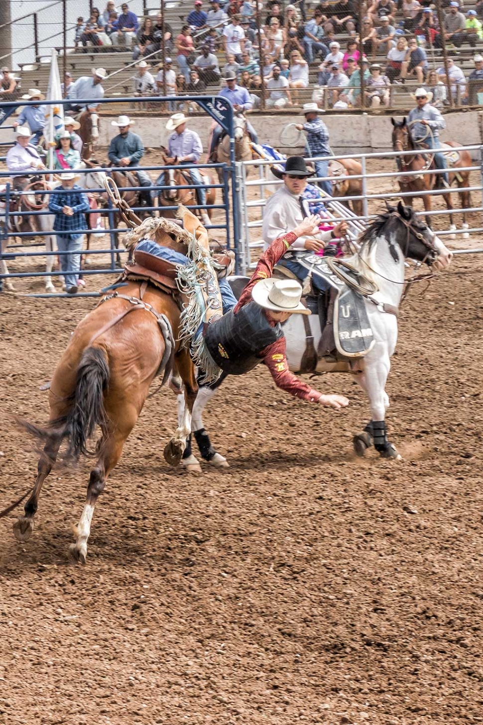 Ventura County Fair Rodeo The Fillmore Gazette