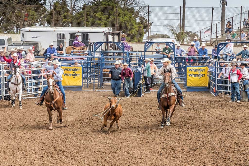Ventura County Fair Rodeo The Fillmore Gazette