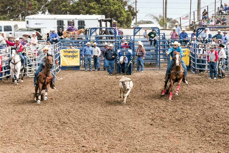 Ventura County Fair Rodeo The Fillmore Gazette