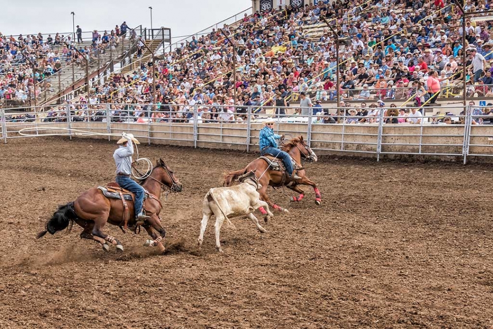 Ventura County Fair Rodeo The Fillmore Gazette
