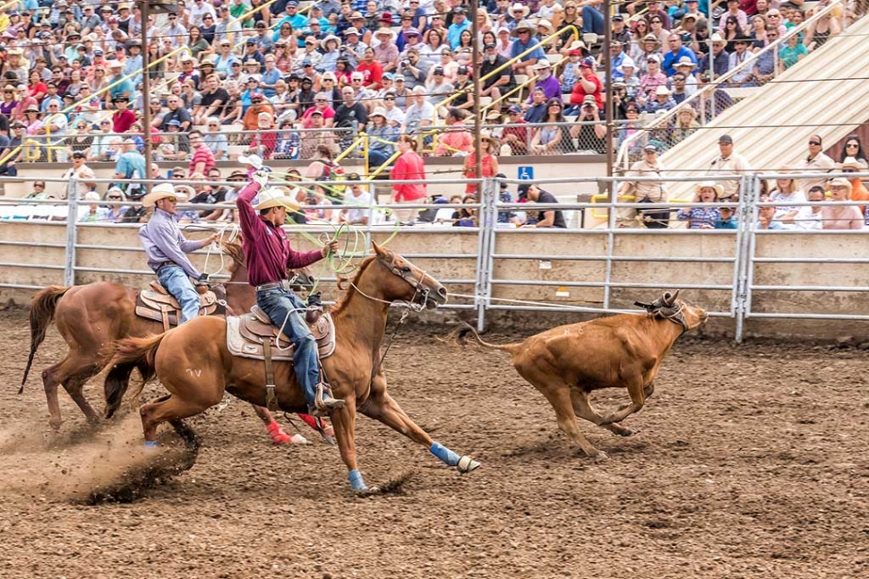 Ventura County Fair Rodeo The Fillmore Gazette