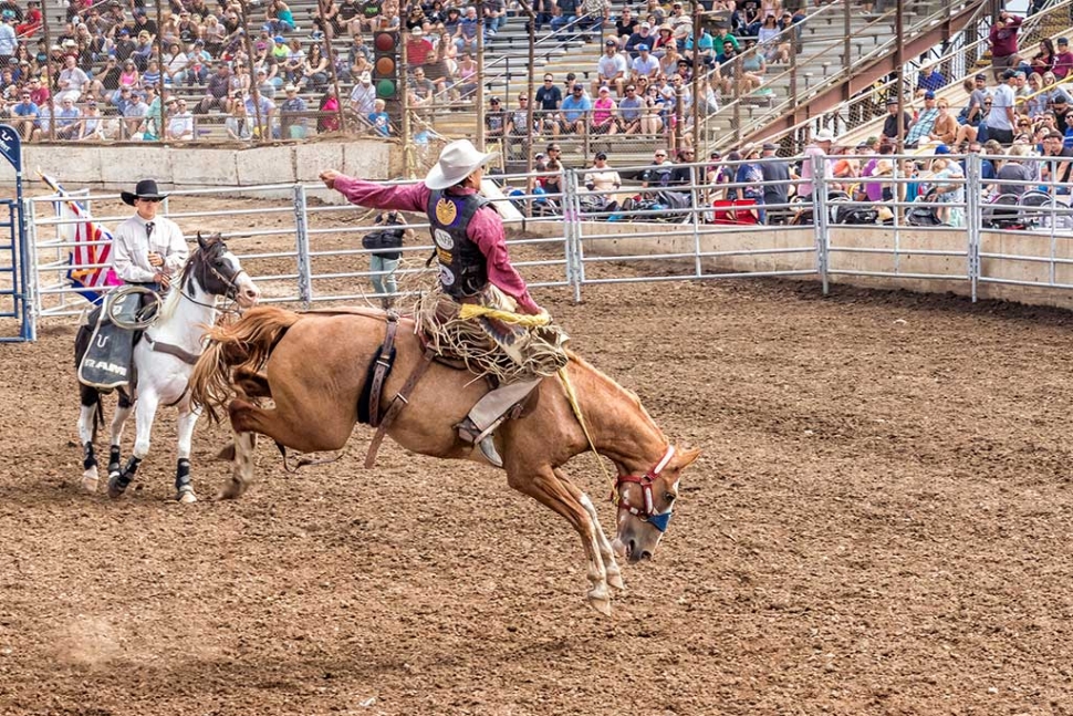 Ventura County Fair Rodeo The Fillmore Gazette