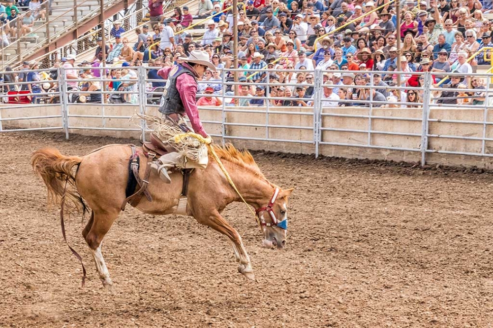 Ventura County Fair Rodeo The Fillmore Gazette