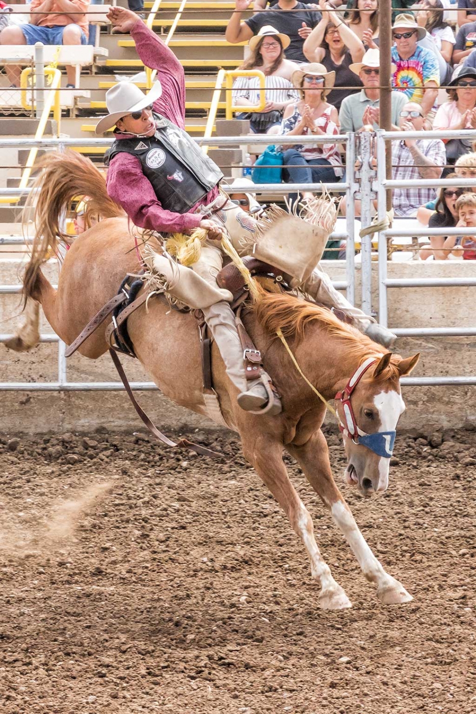 Ventura County Fair Rodeo The Fillmore Gazette