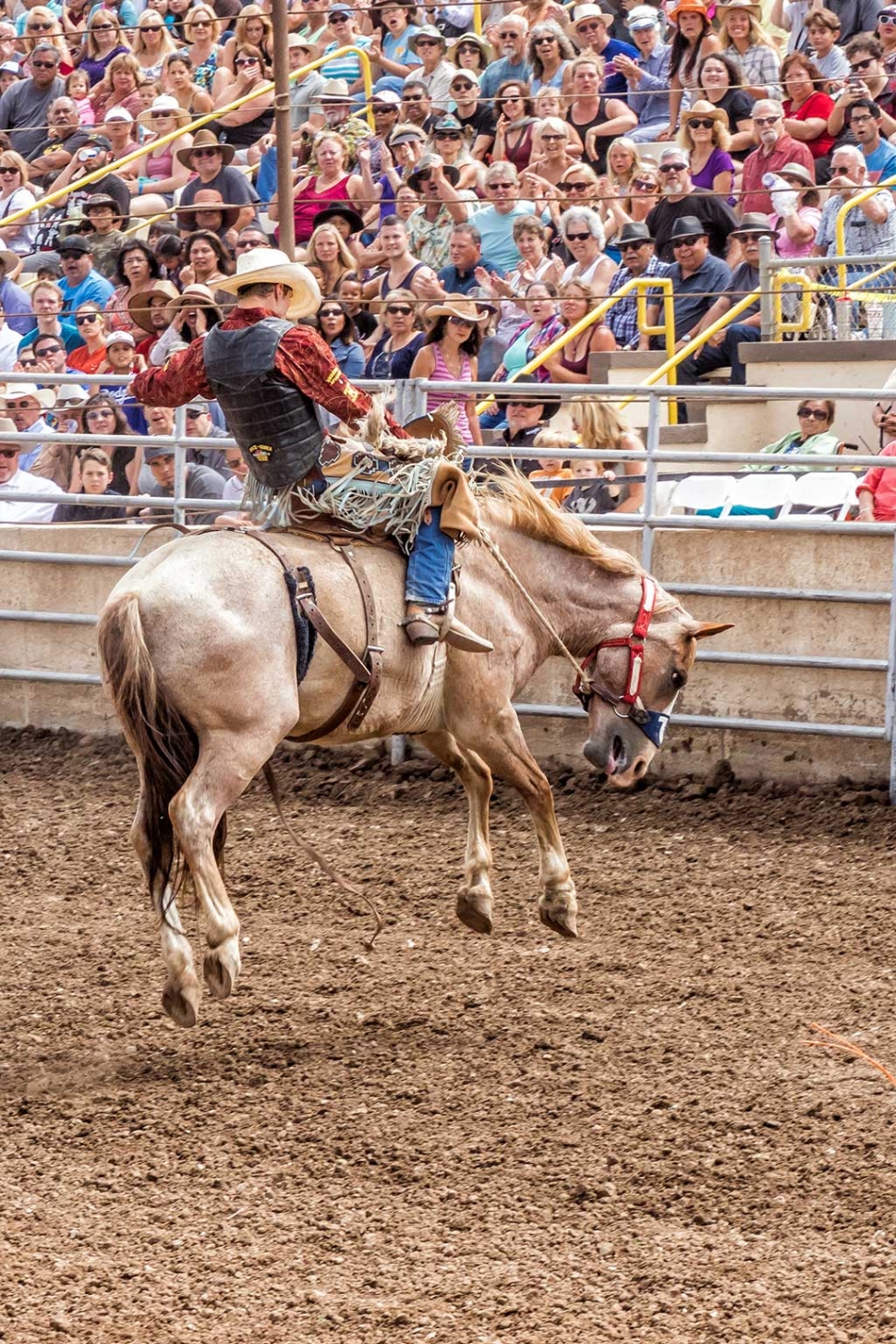 Ventura County Fair Rodeo The Fillmore Gazette