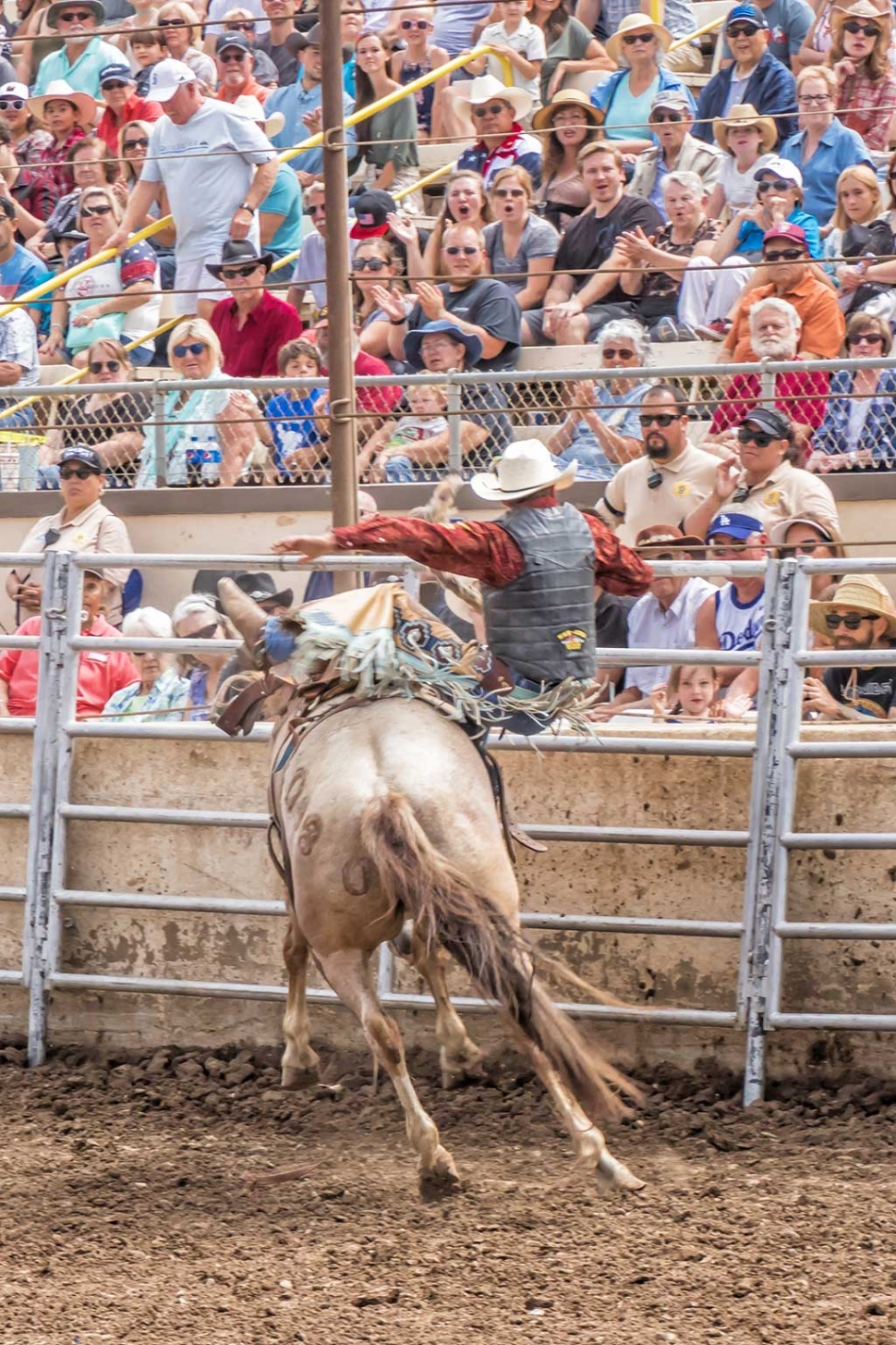 Ventura County Fair Rodeo The Fillmore Gazette